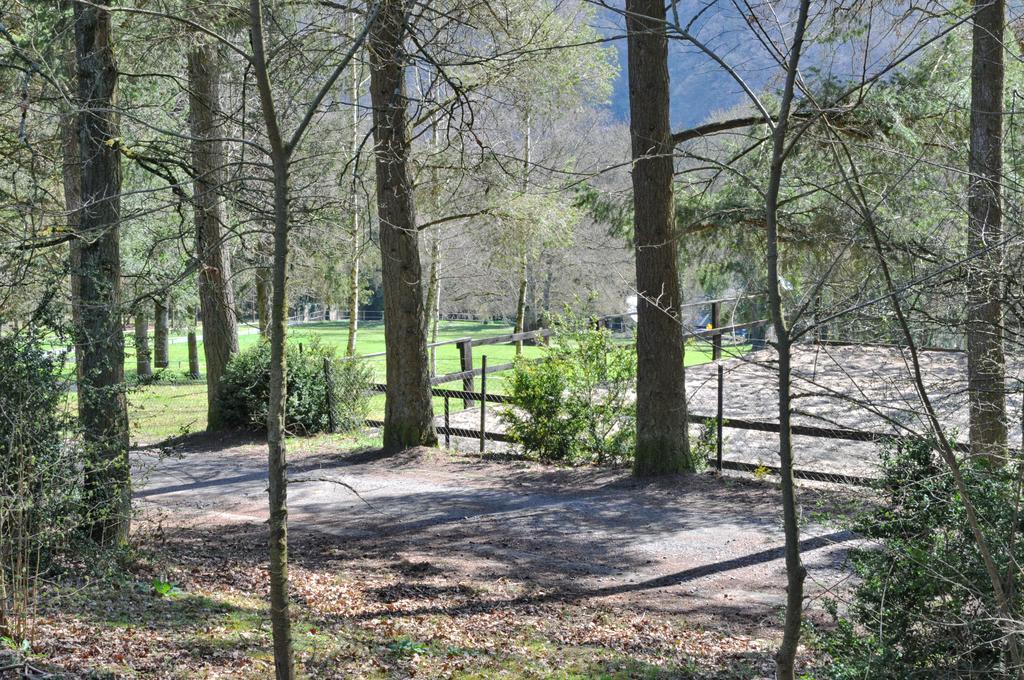 Village De Vacances Waulsort Hastiere-par-dela Buitenkant foto